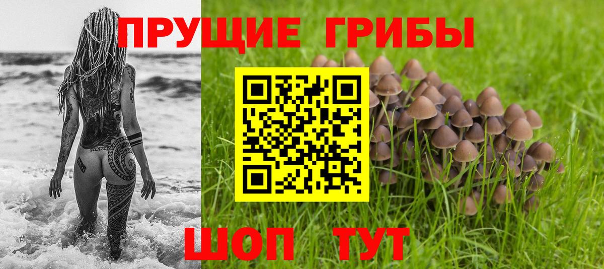 Воронеж  Галлюциногенные грибы прущие грибы  Галлюциногенные грибы ЛСД  Вход с VPN 
